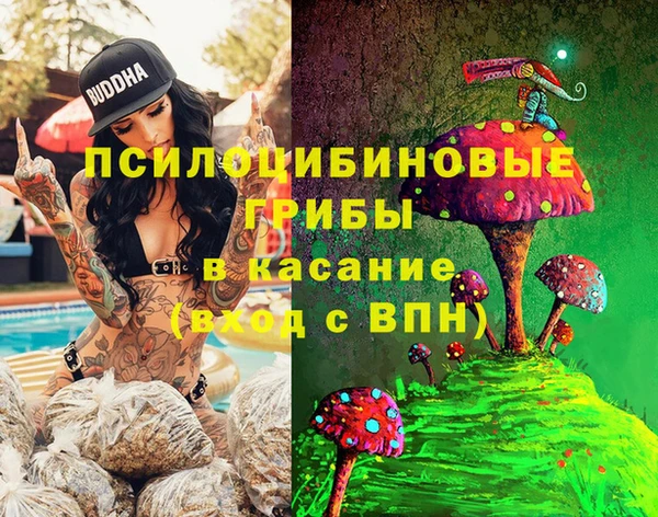 стафф Абдулино
